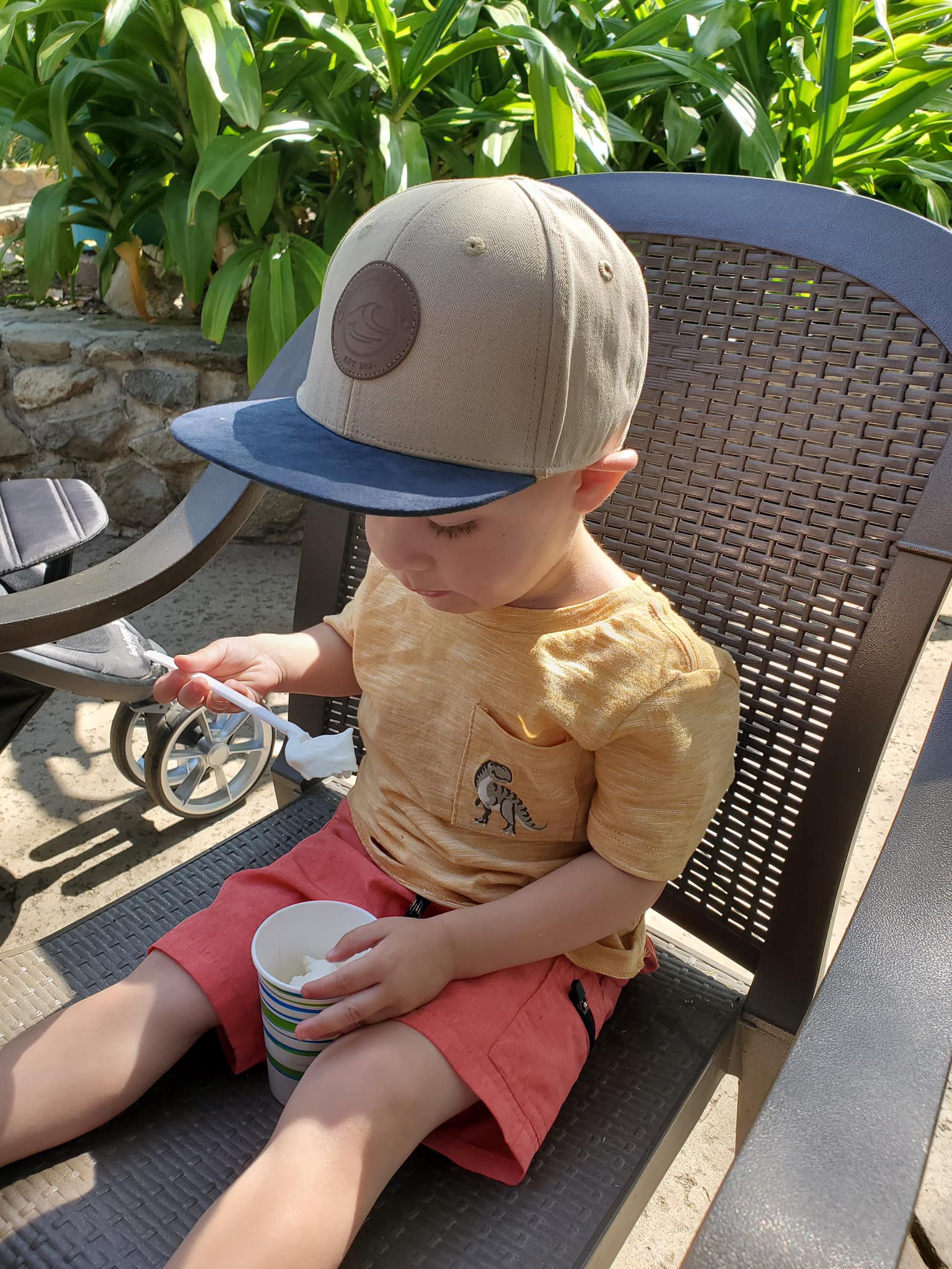 Surf's Up Snapback Hat