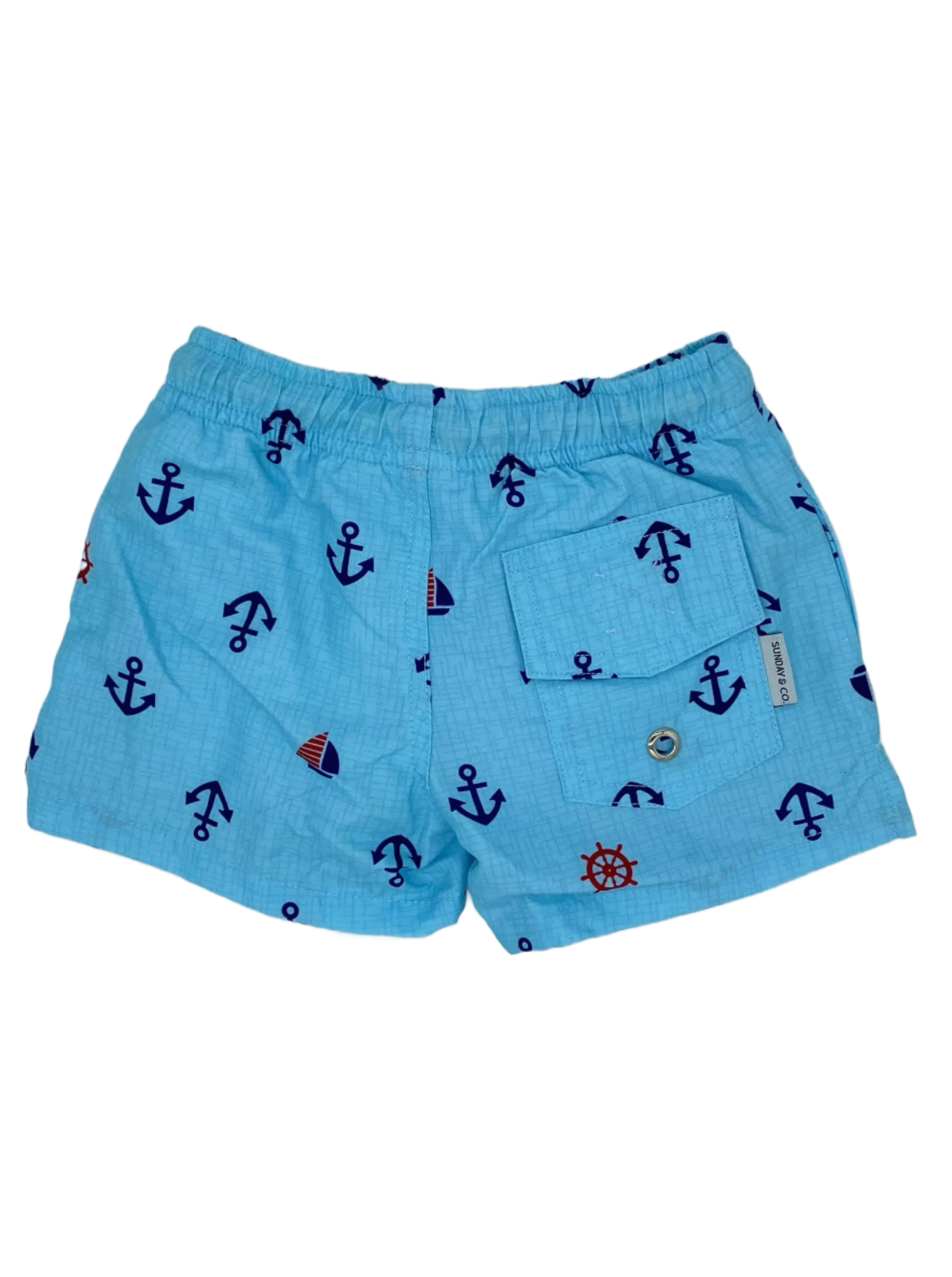 Anchor Swim Trunks