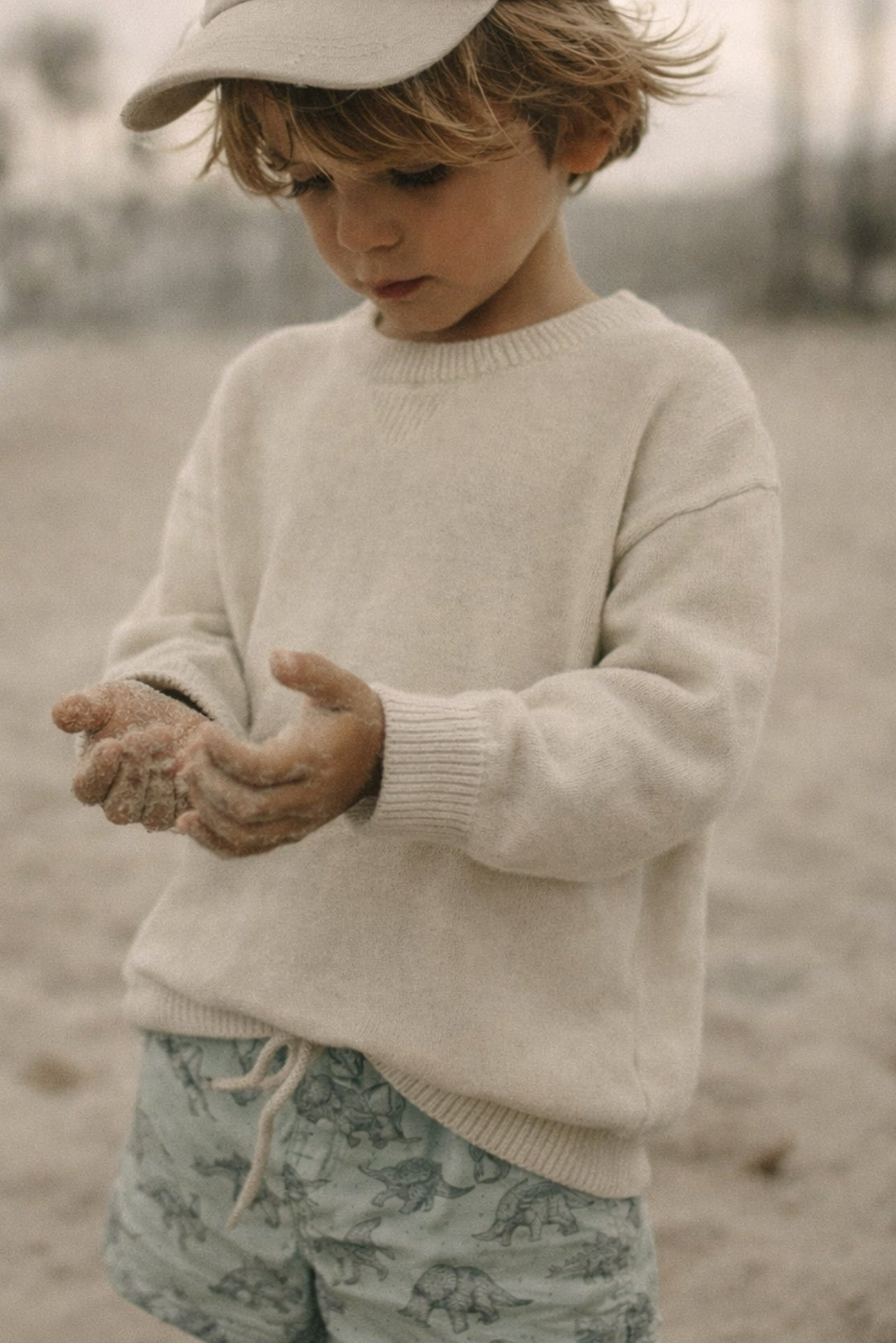 Jurassic Dinosaur Swim Trunks