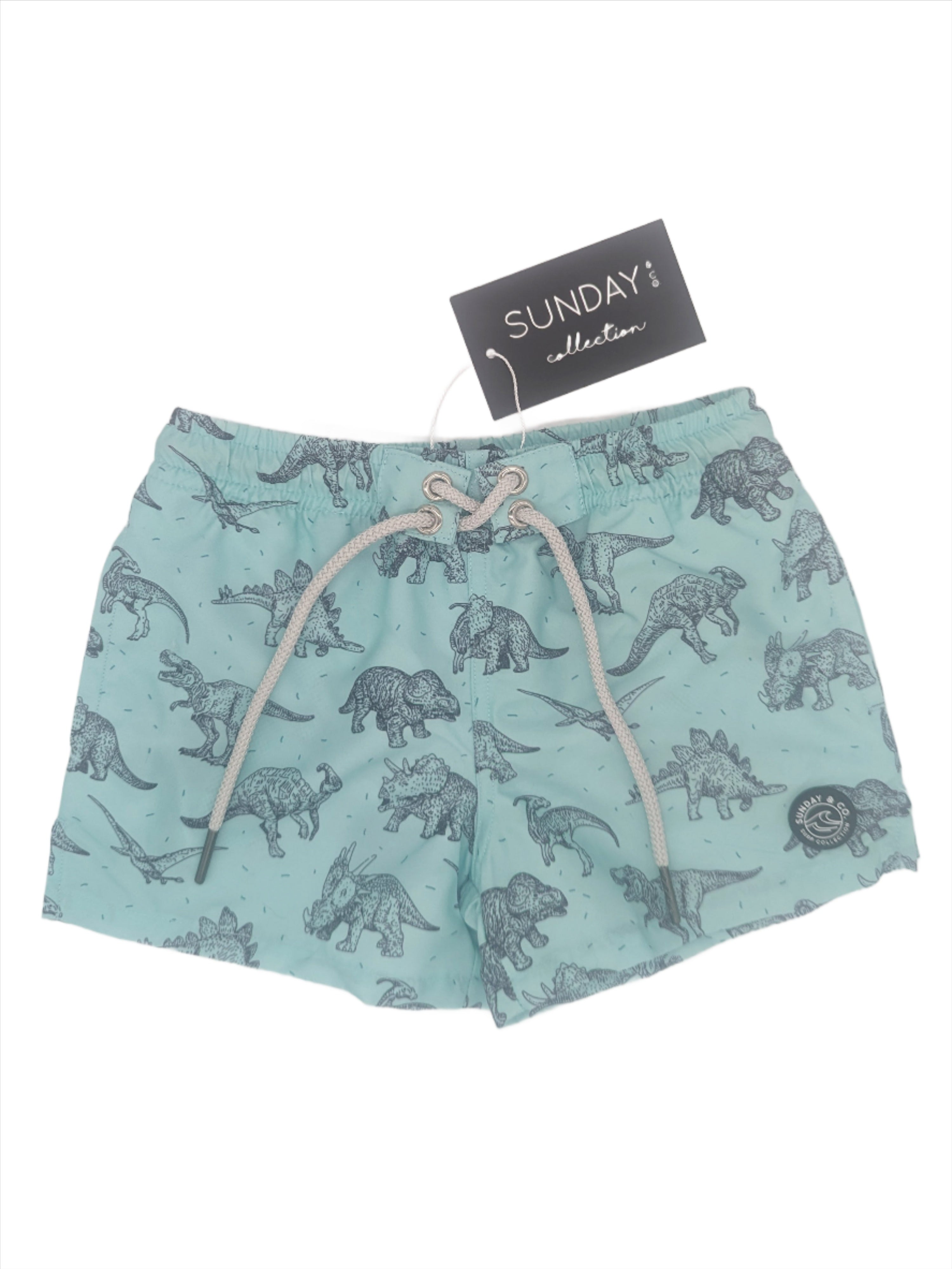 Jurassic Dinosaur Swim Trunks