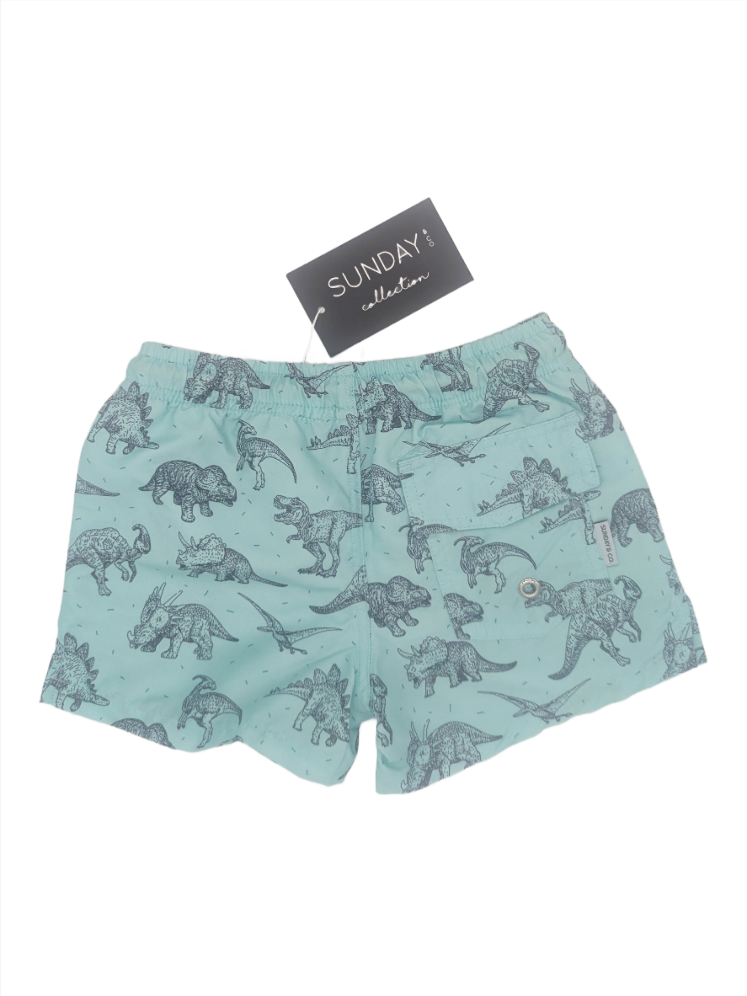 Jurassic Dinosaur Swim Trunks