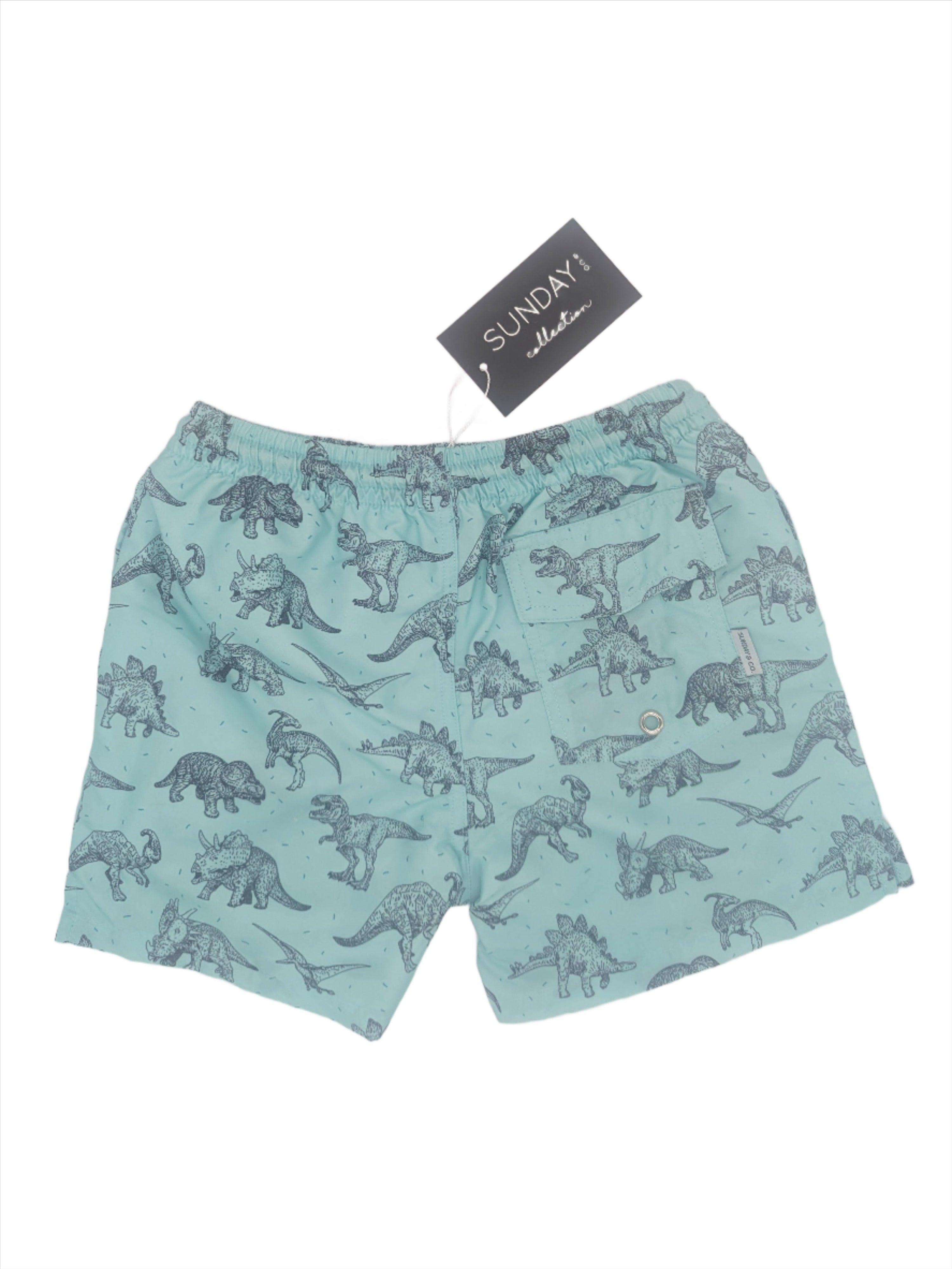 Jurassic Dinosaur Swim Trunks