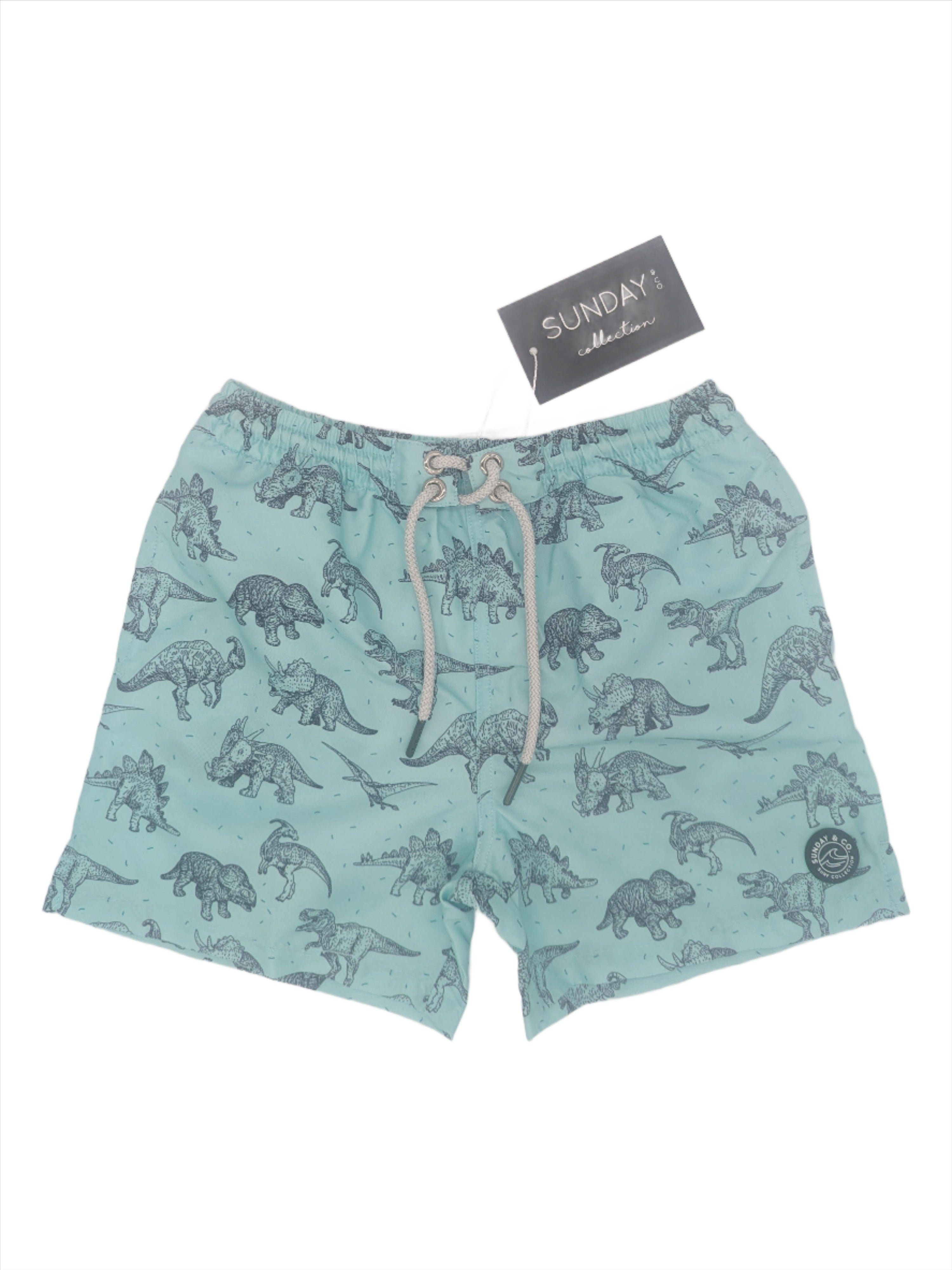 Jurassic Dinosaur Swim Trunks