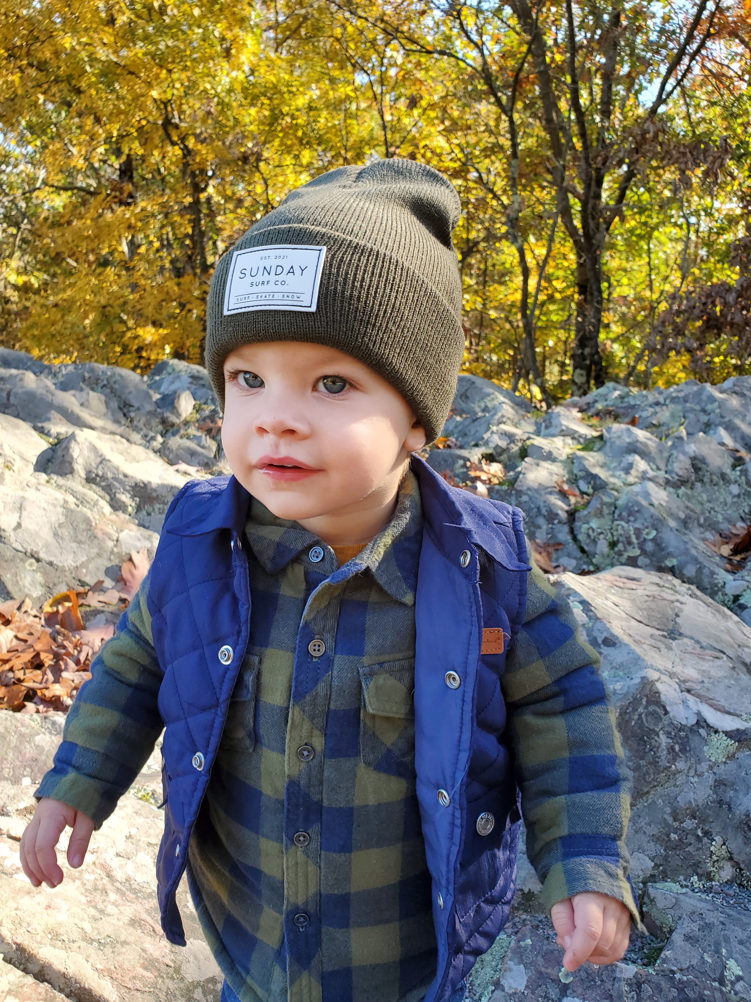 Shred - Classic Evergreen Beanie